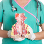 ProDentim: A New Approach to Oral Health