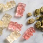 How do CBD dog treats help with joint pain and mobility?