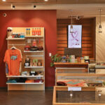 Top Urogynecologists in Houston: Leading the Way in Women’s Pelvic Health