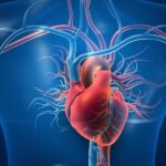 How Long Does Delta 8 THC Stay in Your System?